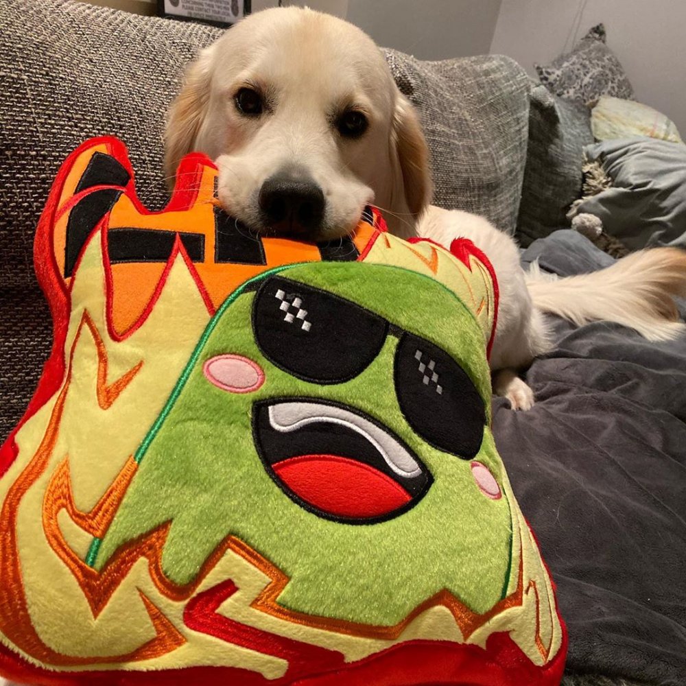 Dog Pillow Lit Plush Pickle Emoticon