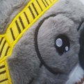 Koala Plush Toy by dagilp_lbh